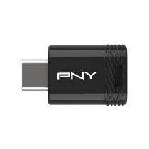 PNY USB-C 3.2 Elite-X 256 GB Flash Drive