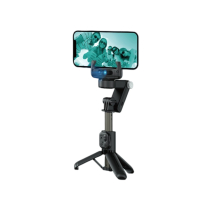 DEVIA Multi-Function Selfie Stick (Black) (Q19)