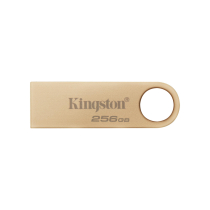 KINGSTON USB Key DTSE9 G3 256GB