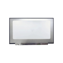 LED Panel 17.3" - 1920x1080 - 30 Pins Right (Matte)